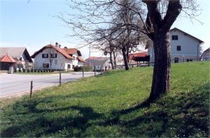 Dolenje Mokro polje